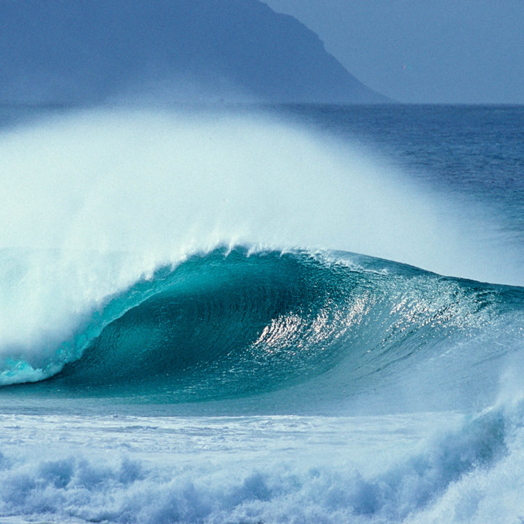 Aqua Plume