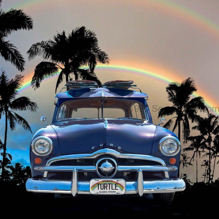 Blue Turtle Woody