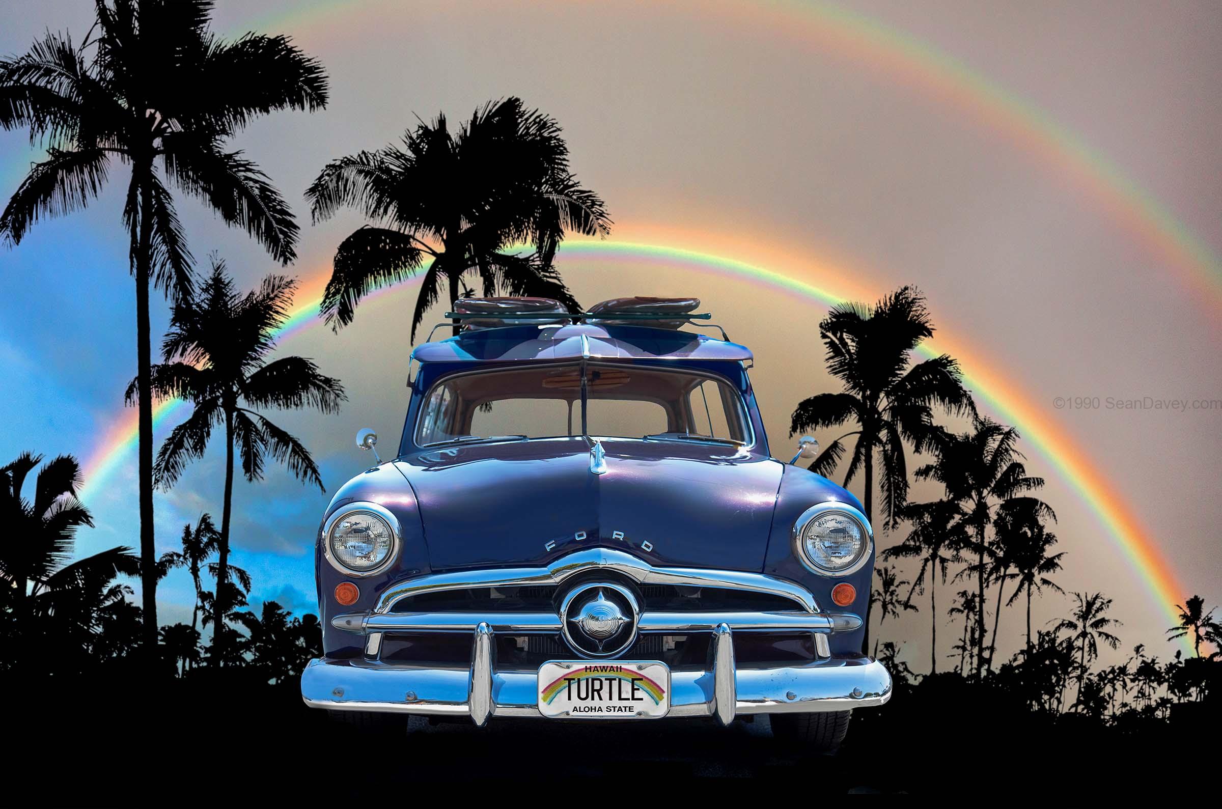 Blue Turtle Woody