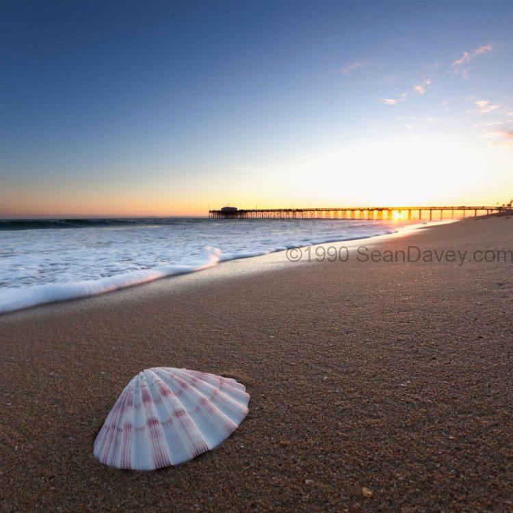 California Serendipity