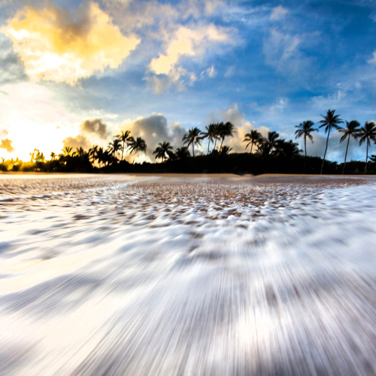 Coconut Rush