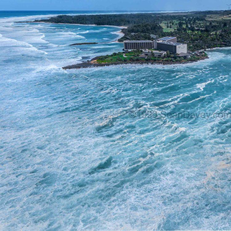 Condition Black Turtle Bay