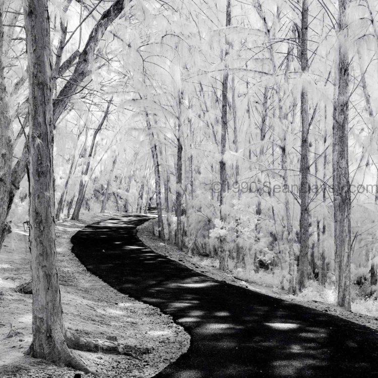 Dark Path Into Light