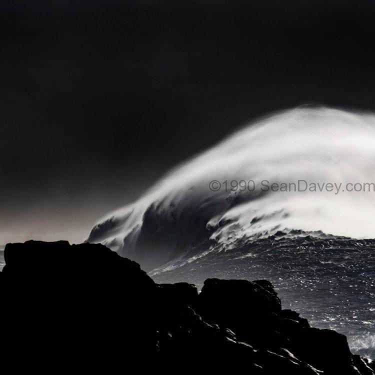 Dark Plume