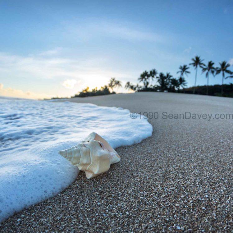 Foam Meets Shell