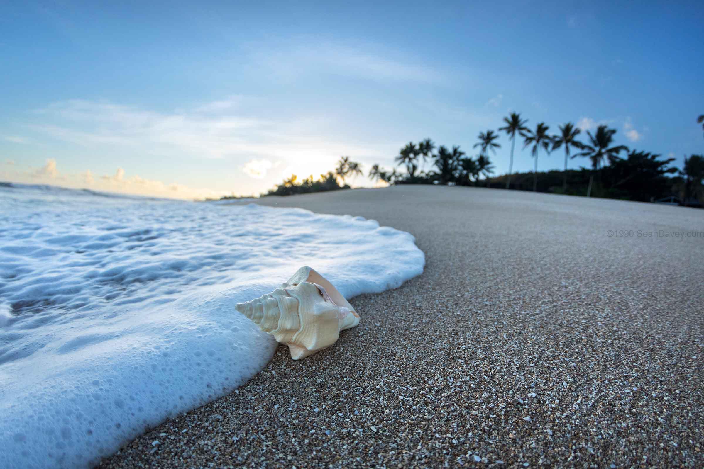 Foam Meets Shell