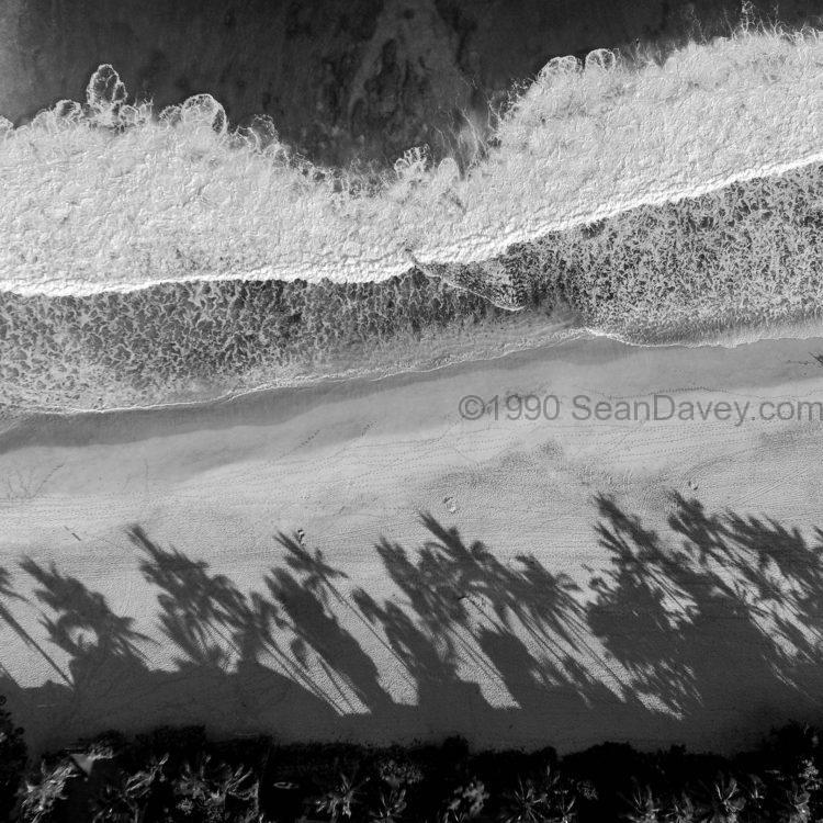 Foam Palms