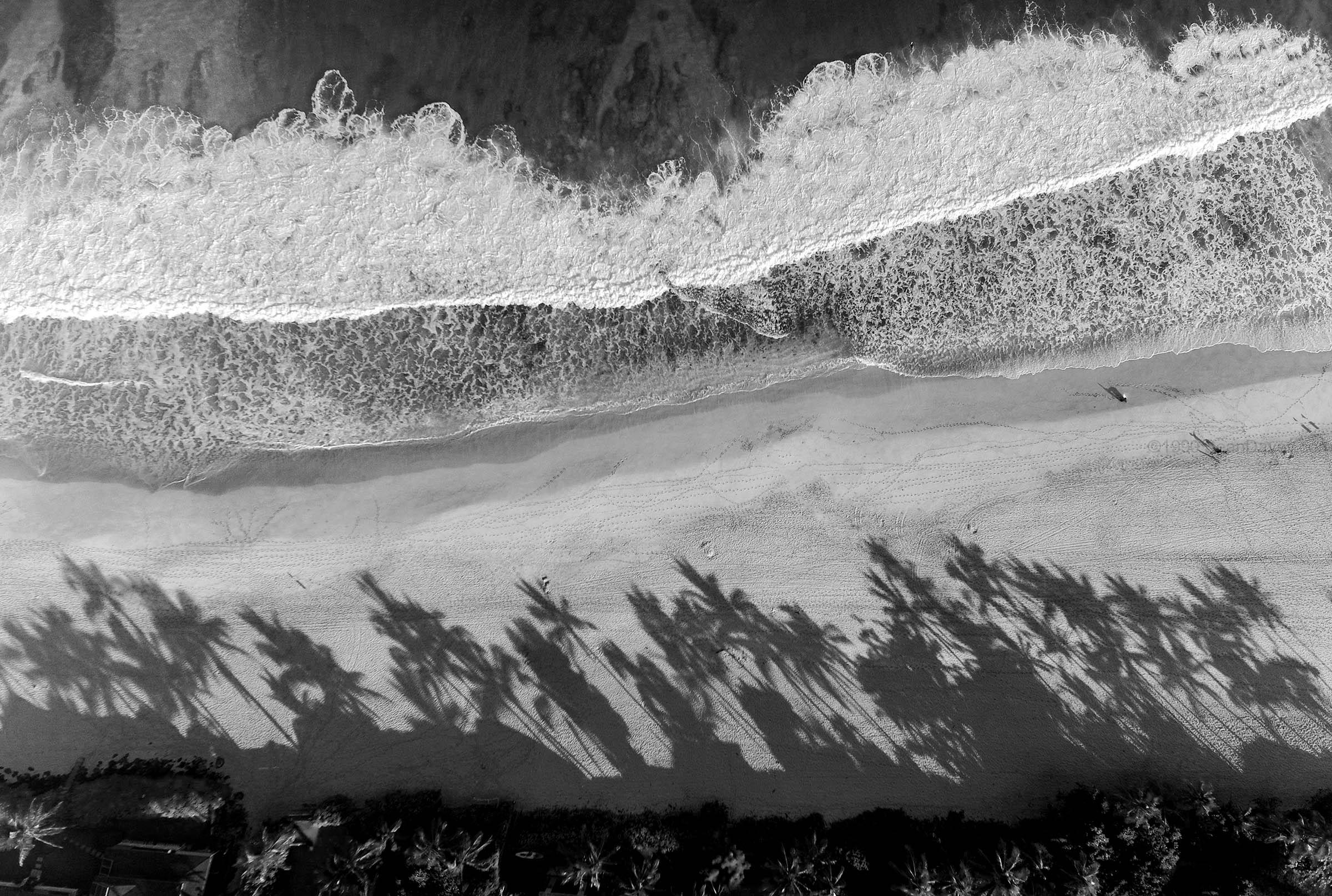 Foam Palms