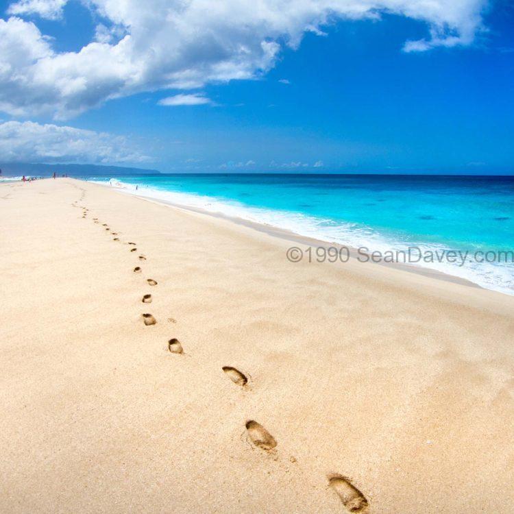 Footsteps of Tranquility
