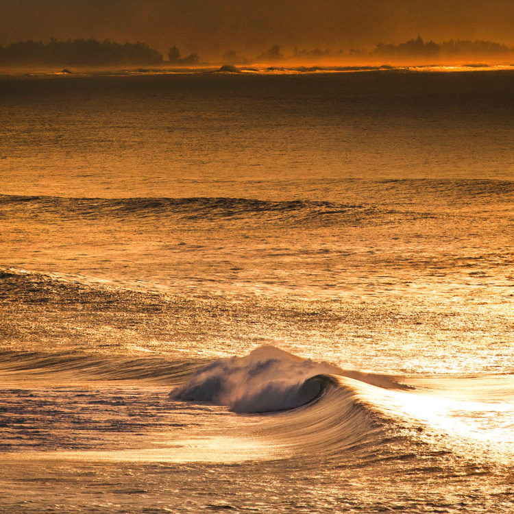 Gold Dust