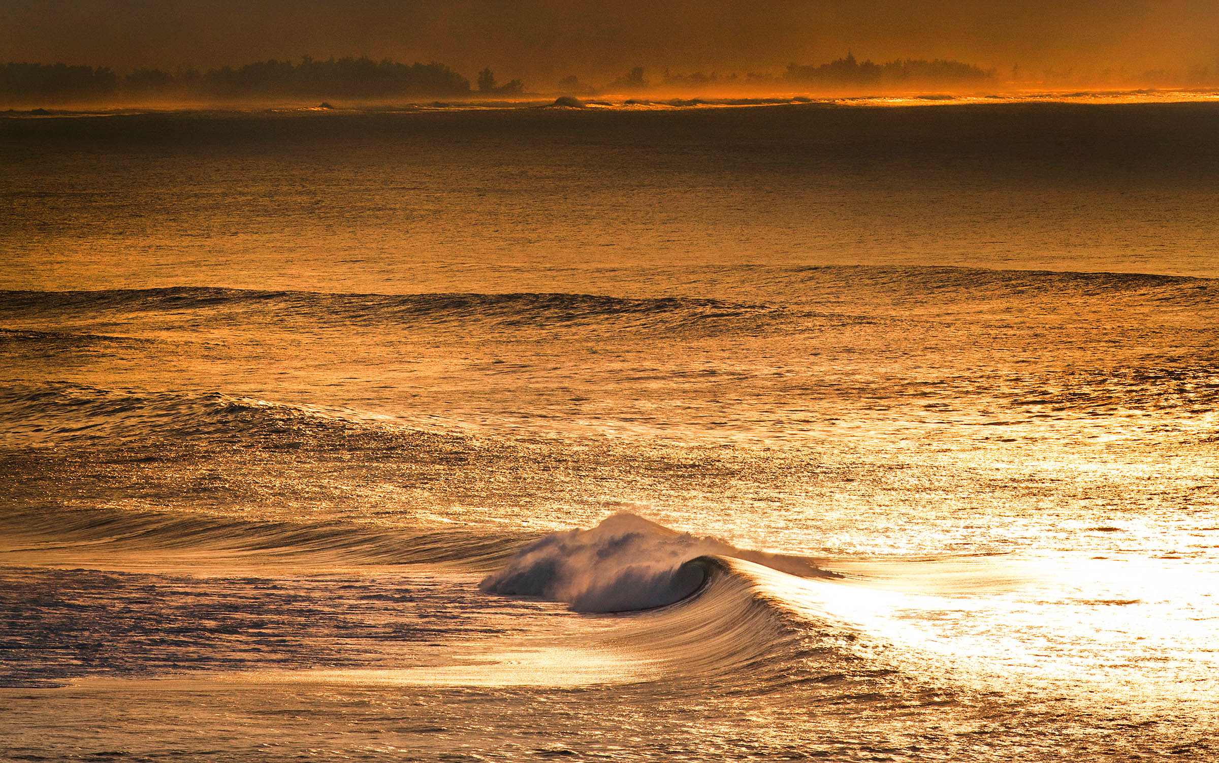 Gold Dust