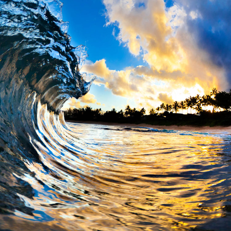 Gold Inertia