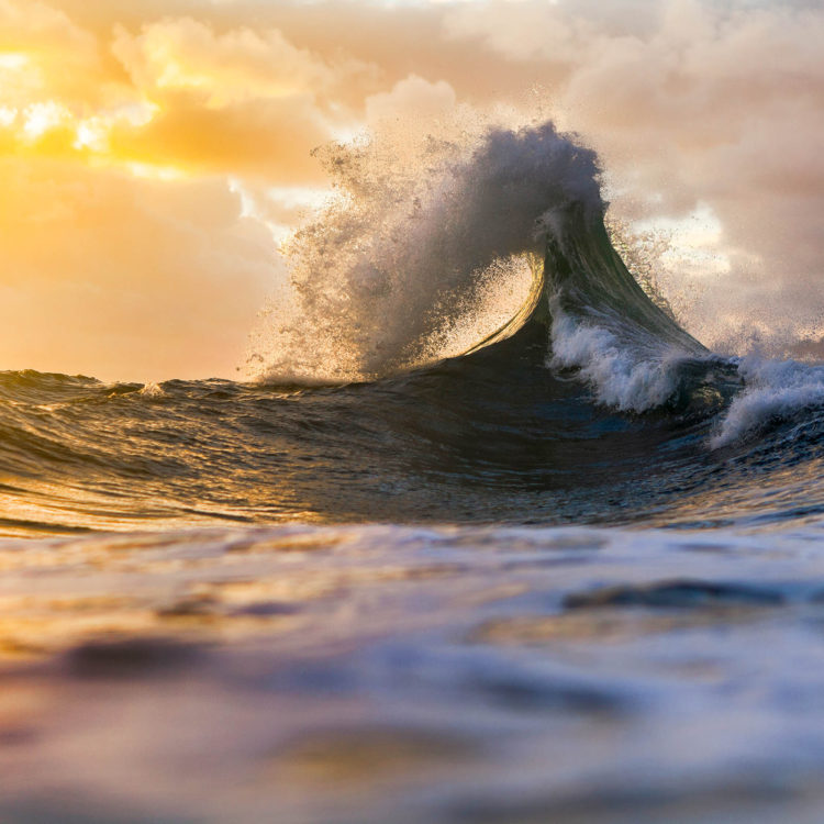 Golden Eye