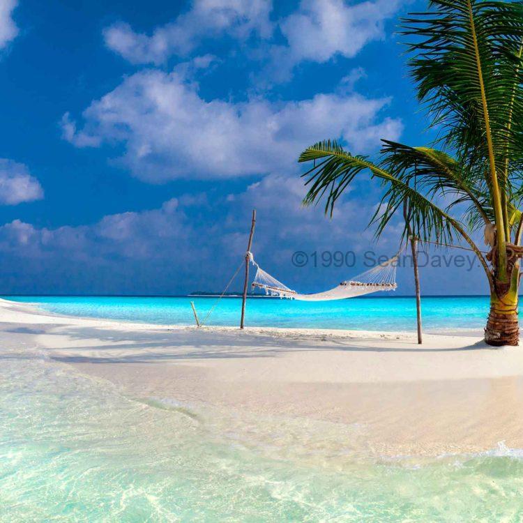Island Solitude