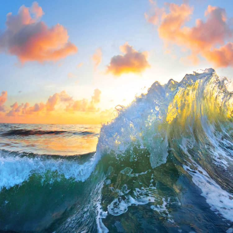 Ocean Bouquet