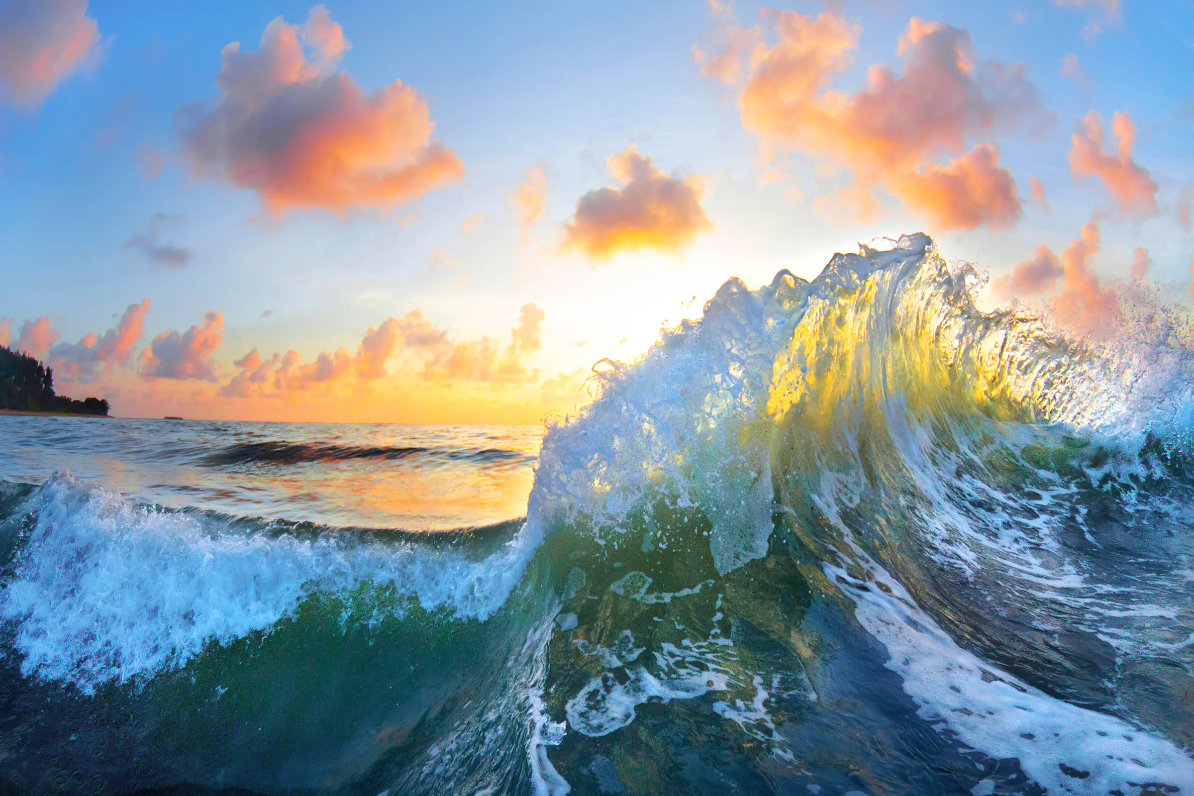 Ocean Bouquet