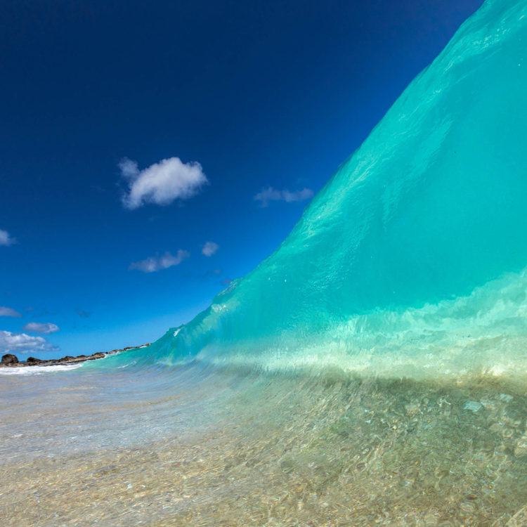 Ocean Jello