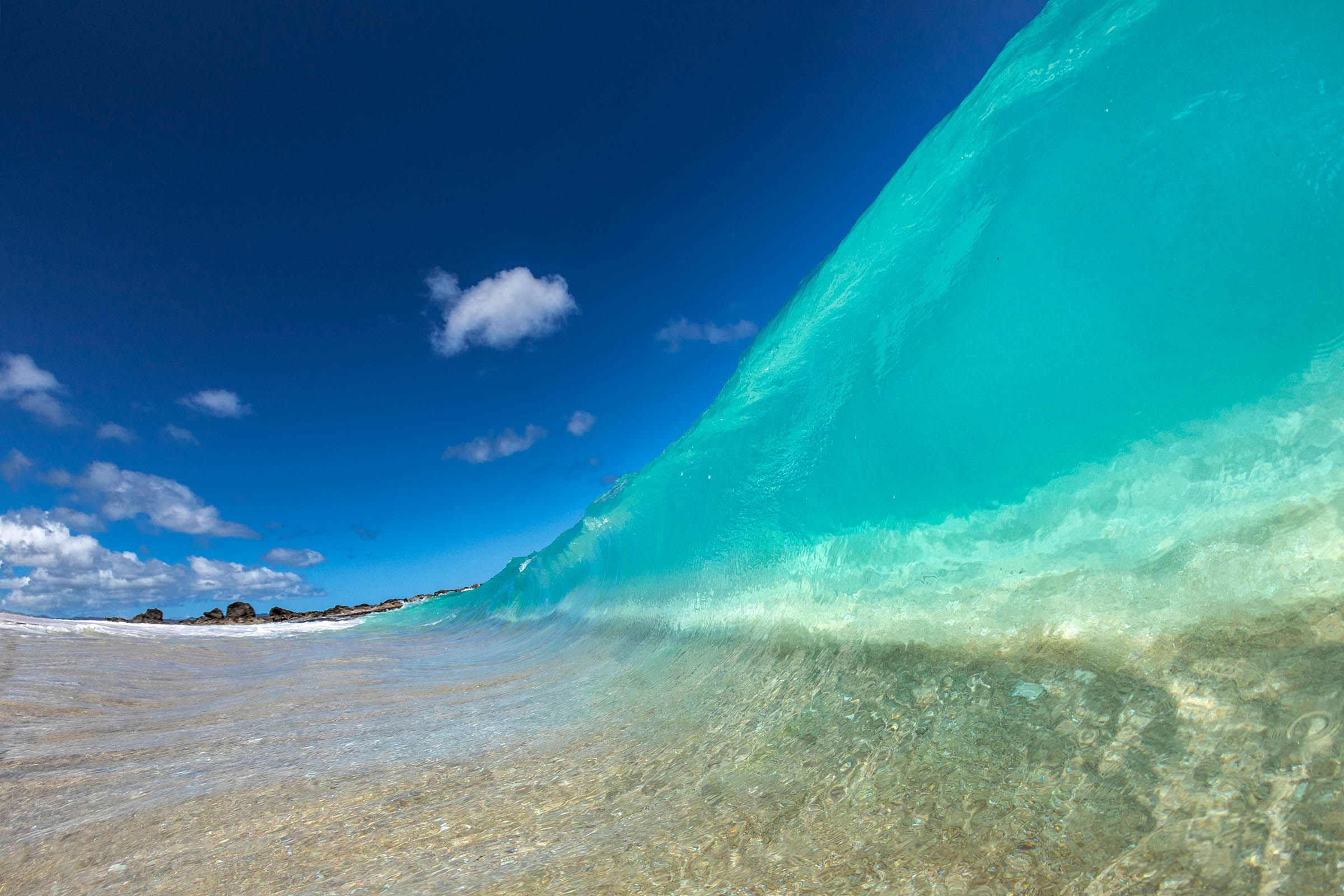 Ocean Jello