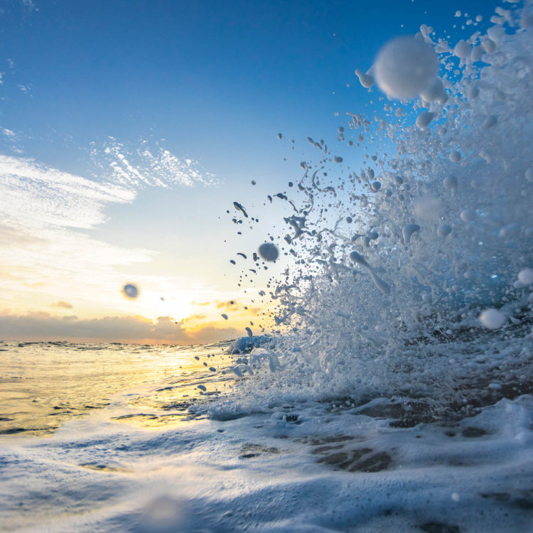 Ocean Pearls