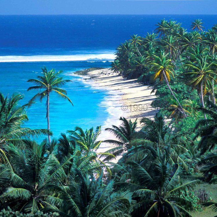 Palm Lagoon