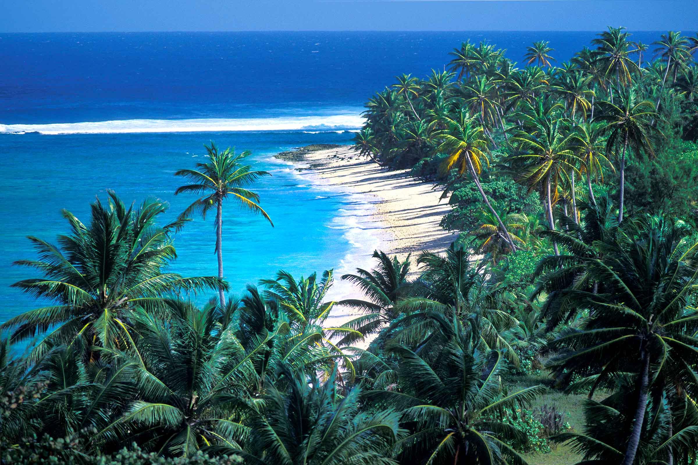 Palm Lagoon