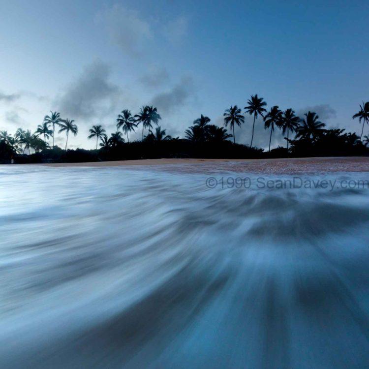 Palm Rush