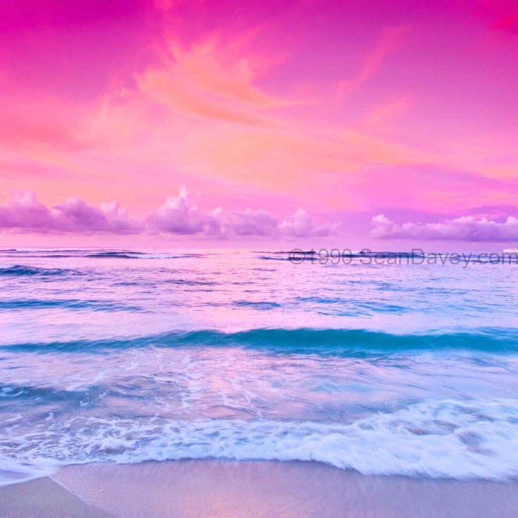 Pink Bliss