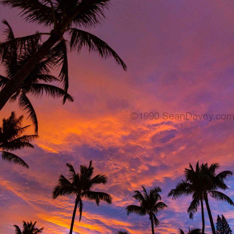 Pink Cloud Sunrise Vertical