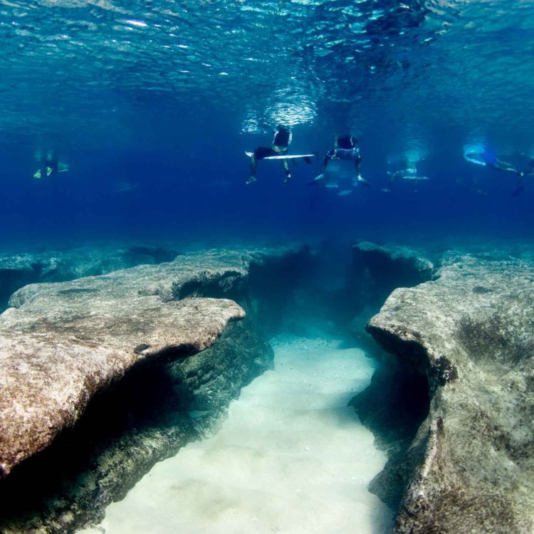 Pipeline's Cruel Reef