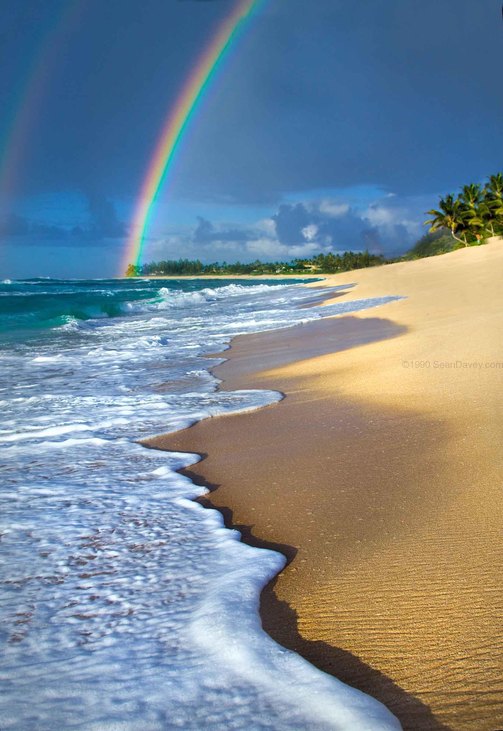Rainbow Froth