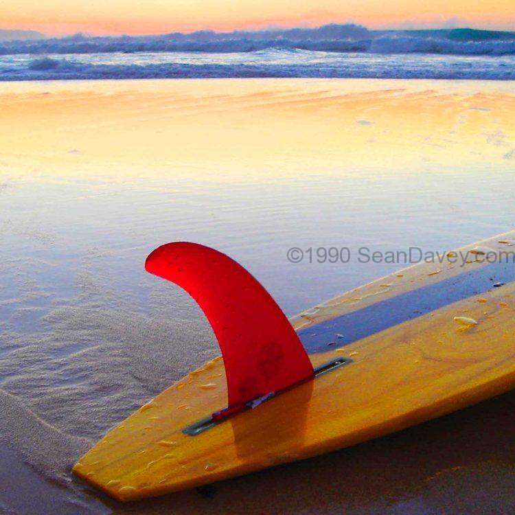 Red Fin Sunset