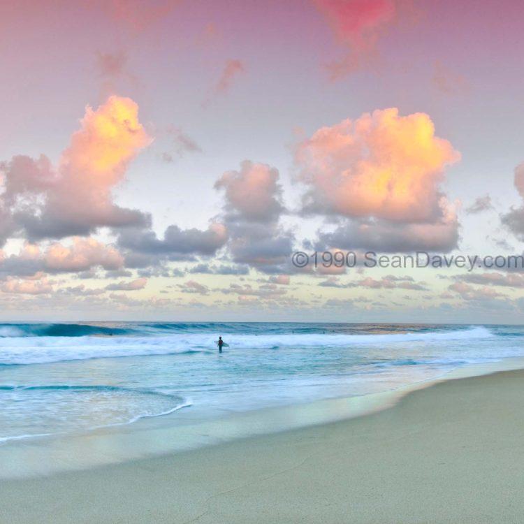 Rose Pastels