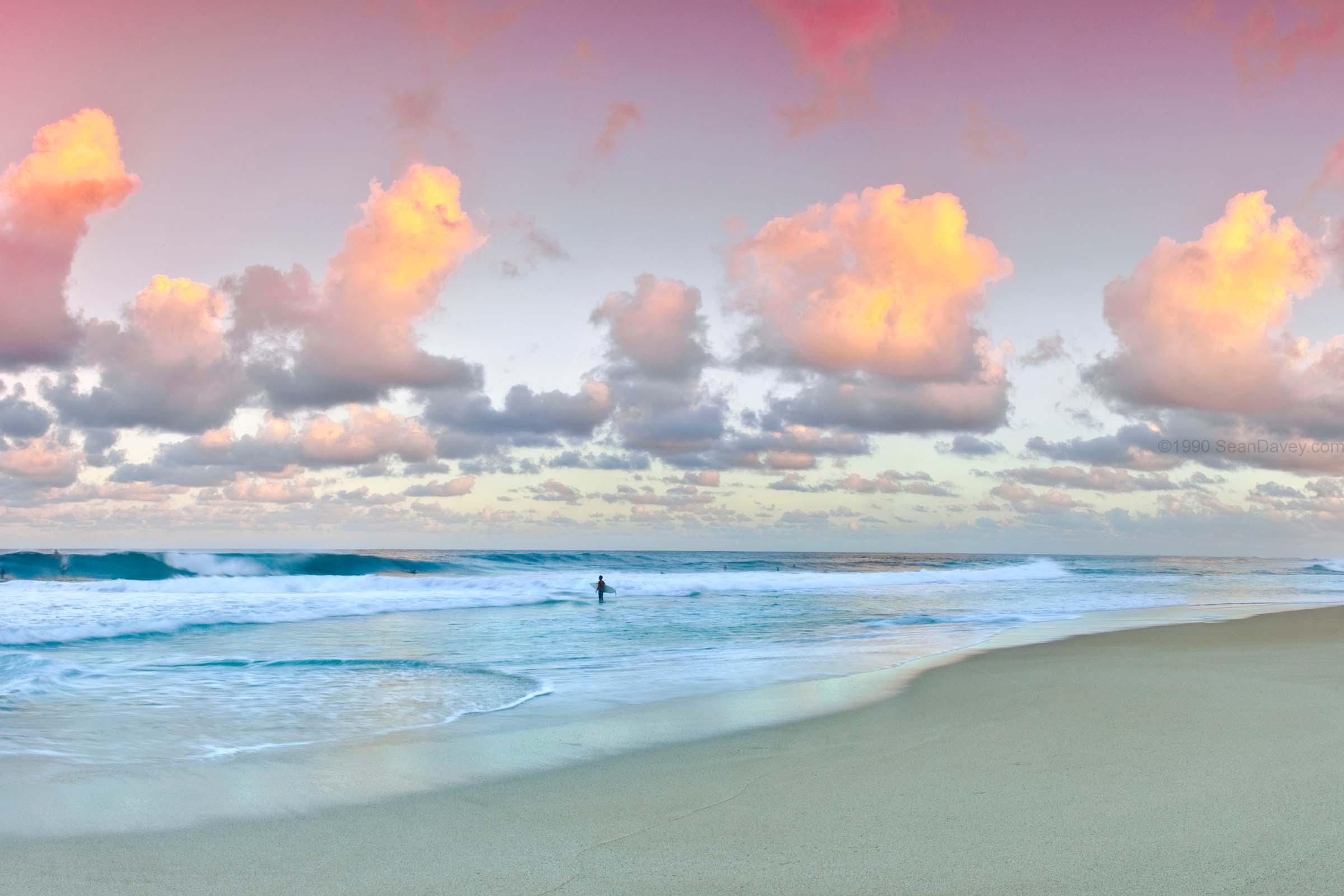 Rose Pastels