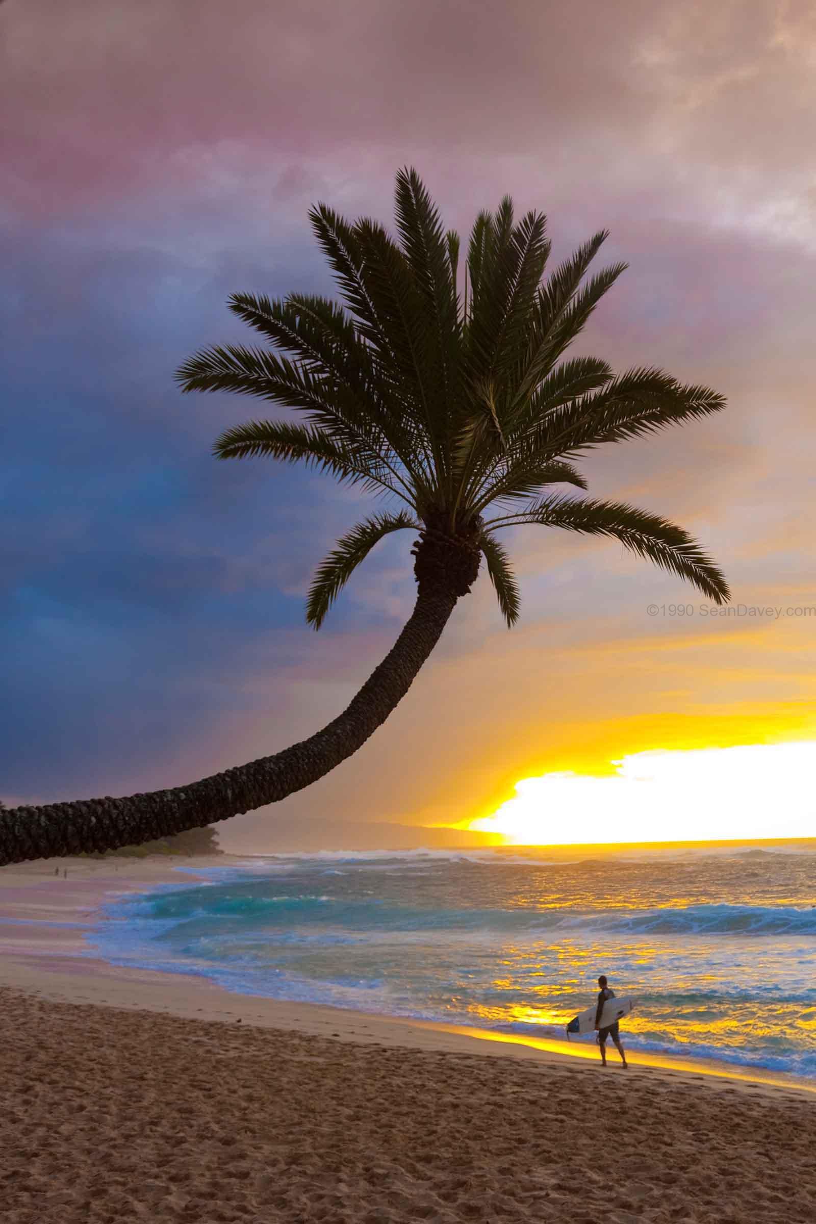 Sunset at Sunset Horizontal