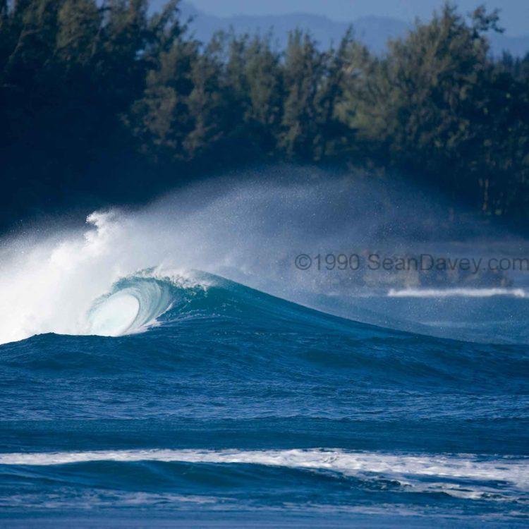 Turtle Bay Wave 1