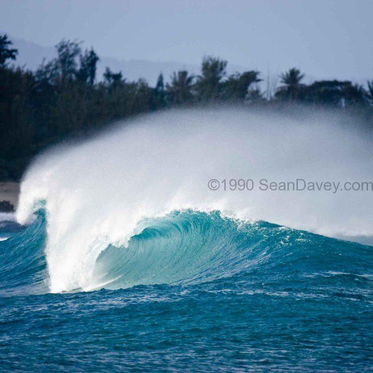 Turtle Bay Wave 2