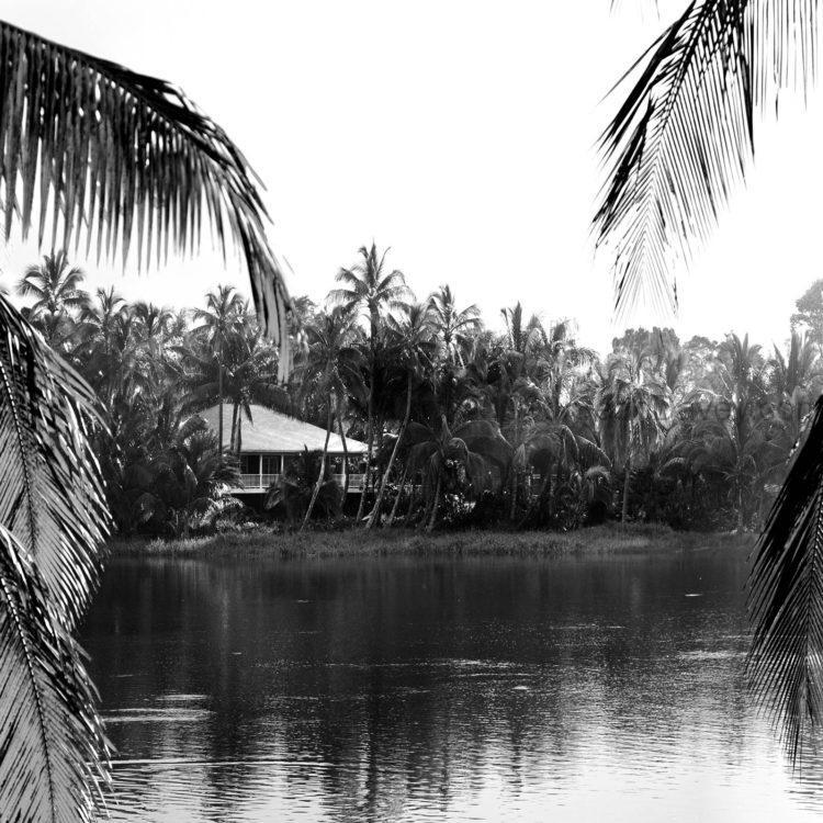 Tropical Haven