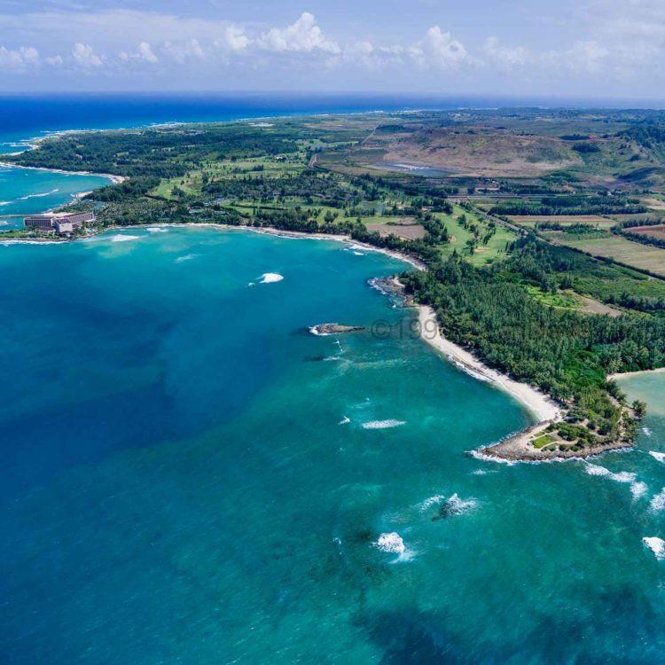 Turtle Bay Clarity