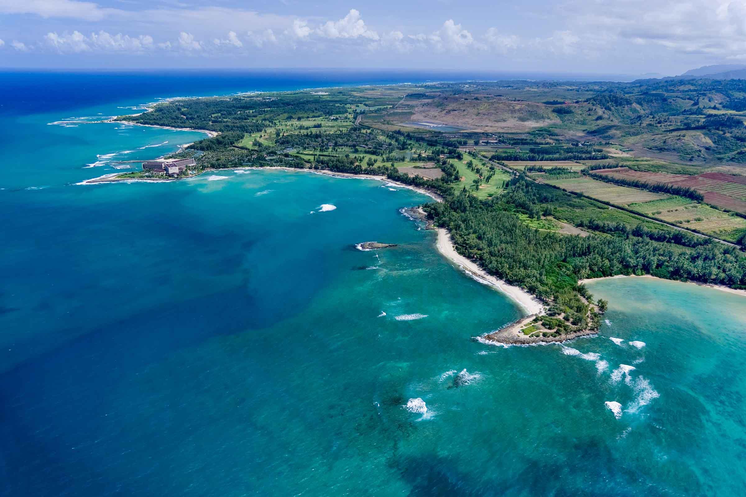 Turtle Bay Clarity