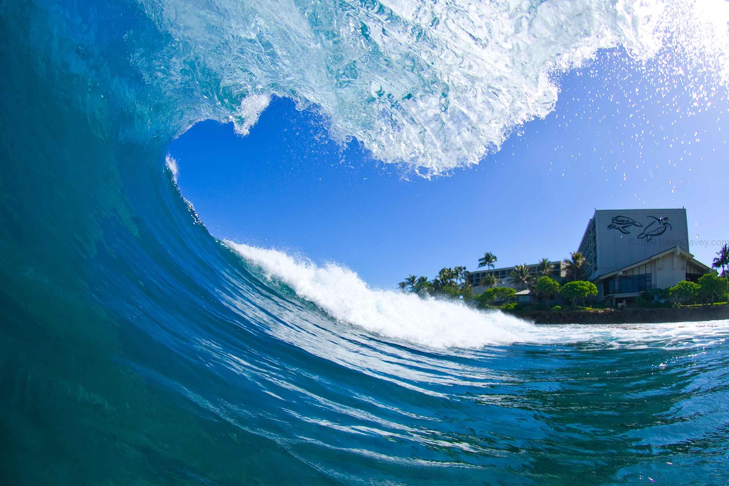 Turtle Bay Tube