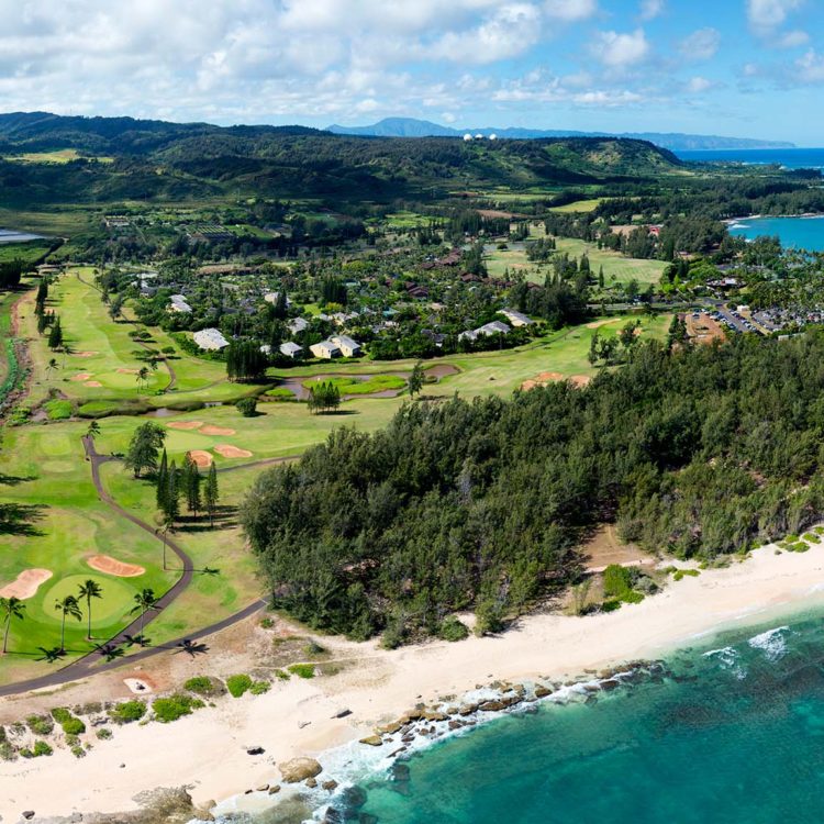 Turtle Bay Overview from the East
