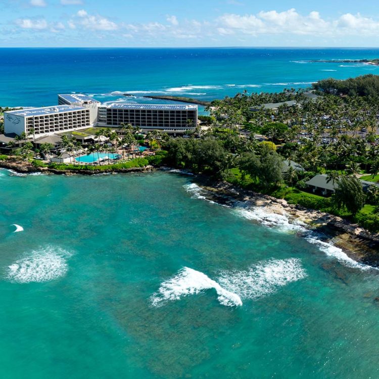 Turtle Bay Overview from the West