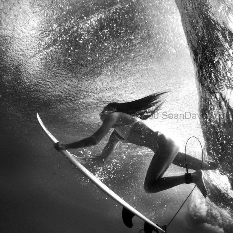 Undersea Beauty