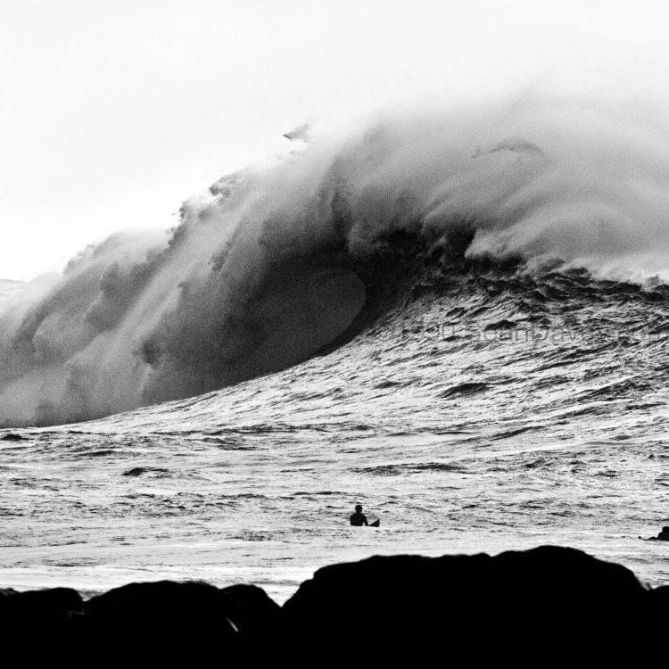 Waimea Plume