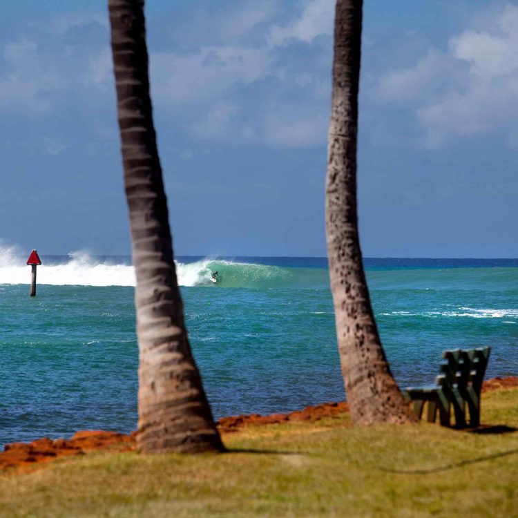 Ala Moana Bowls