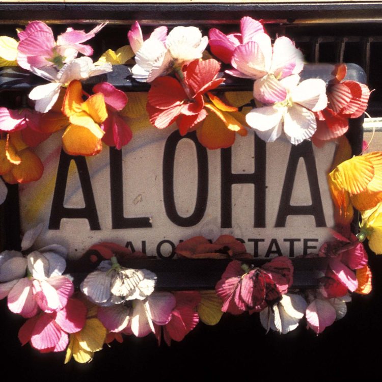 Aloha Plate