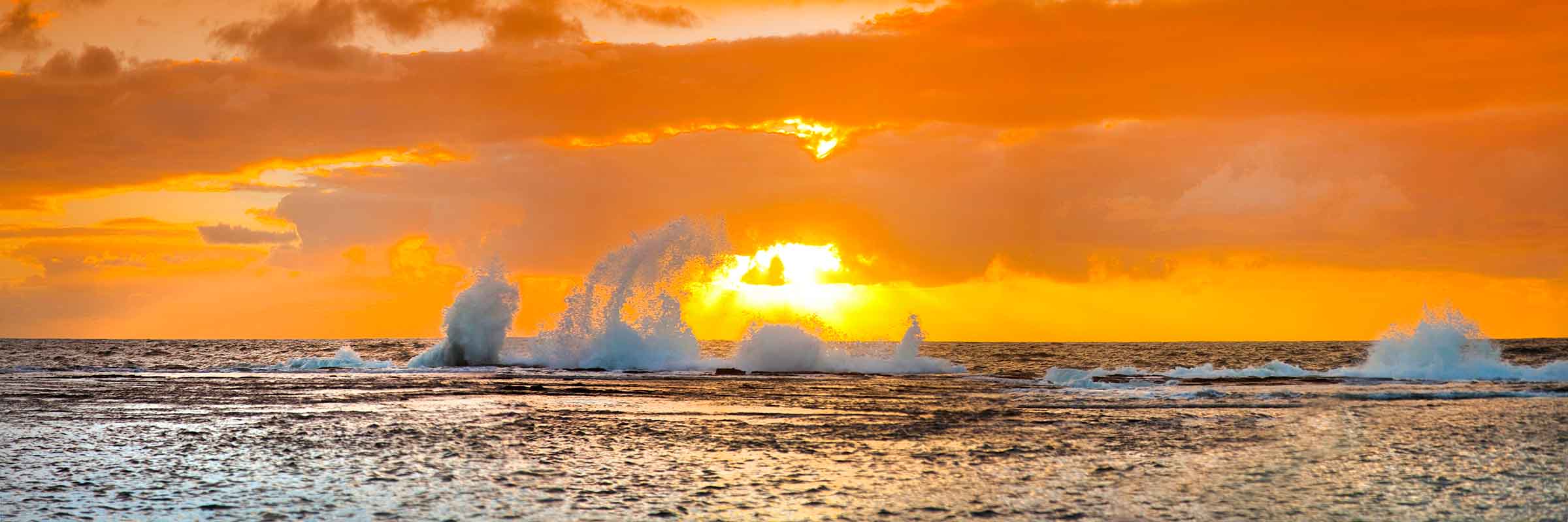 Apricot Splash