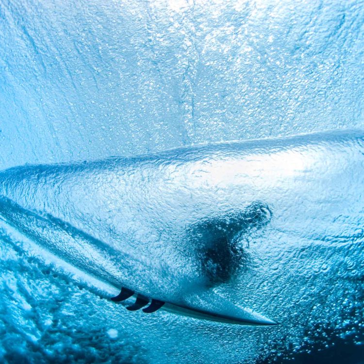 Aqua Cocoon
