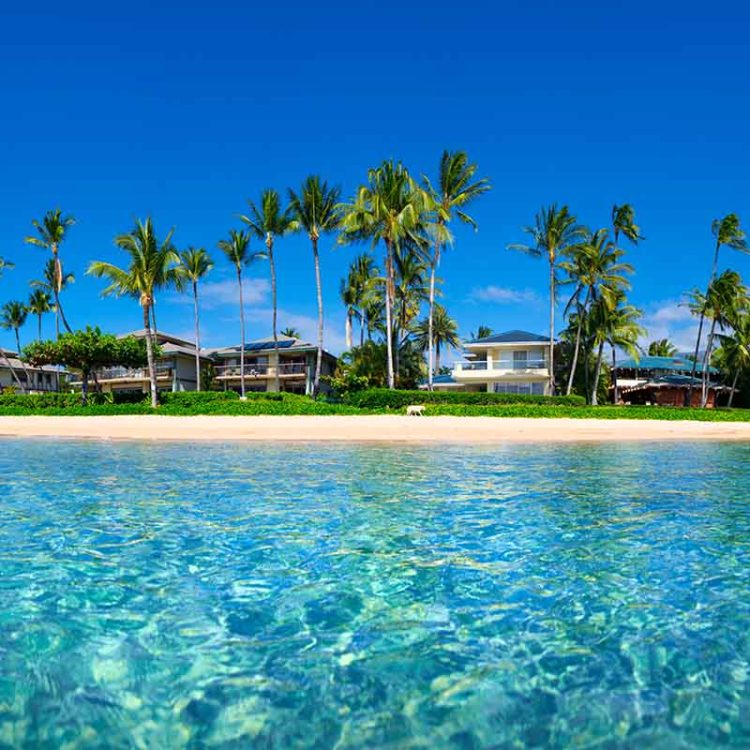 Baby Beach Island