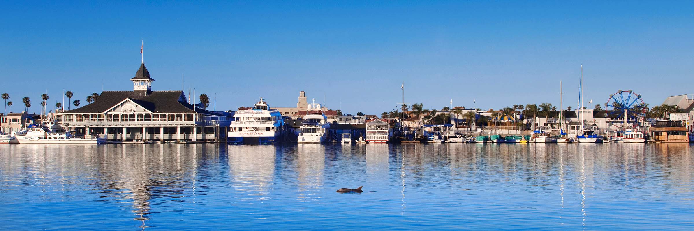 Balboa Island, California, panorama, dolphin, sea life, horizontal, calm water, Newport, sunrise; twilight; coastal pictures, panorama, horizontal, sea, ocean, seascape, sea pier, ocean pier, sunrise, twilight, canvas, canvas art art canvas, art prints,